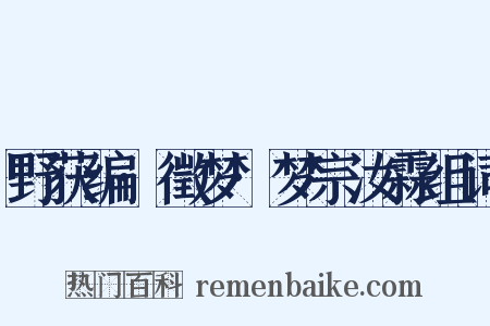 野获编·徵梦·梦宗汝霖组词是什么意思的图片
